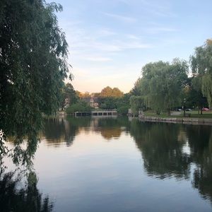 Meet your Posher, Arifa